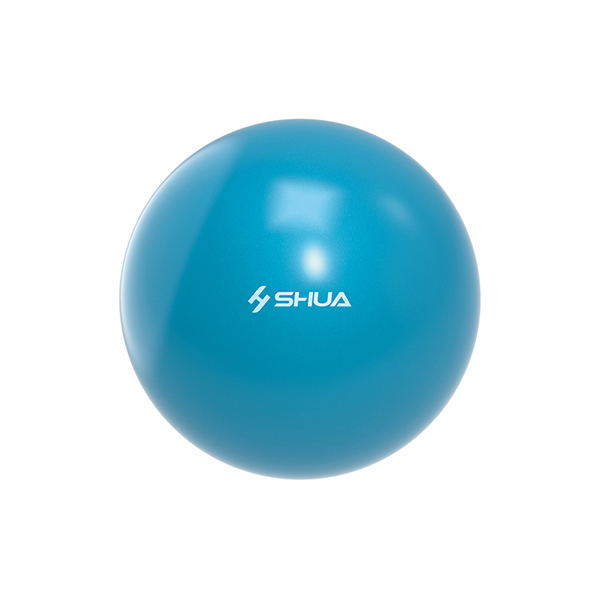 SH-S511-瑜伽球