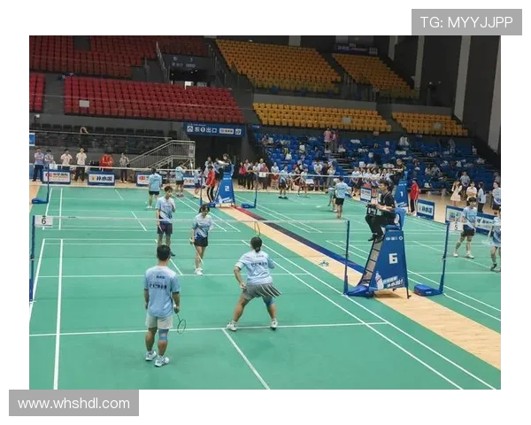 南京羽毛球队在羽毛球比赛中经验排名创新高展现团队实力与竞技水平