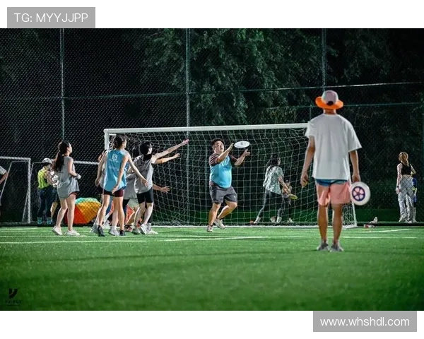 南京飞盘队的节奏与激情探索飞盘运动的魅力与发展