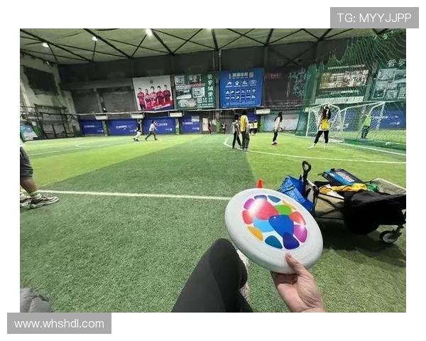 南京飞盘队与成都飞盘队赛后复盘团队协作的成功与不足分析