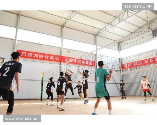 成都排球队引领最新排球技术十大趋势全面解析与展望