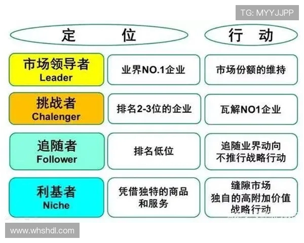 深入分析成都排球队的运营策略与市场推广模式