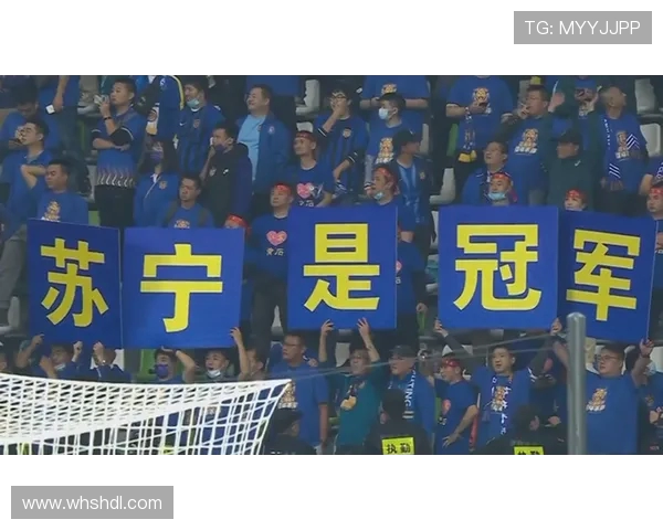 江苏苏宁迎战河北精英争夺联赛关键三分的激烈对决