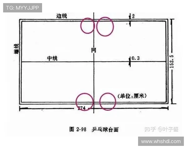 上海乒乓球队比赛经验深度对比分析与启示探讨