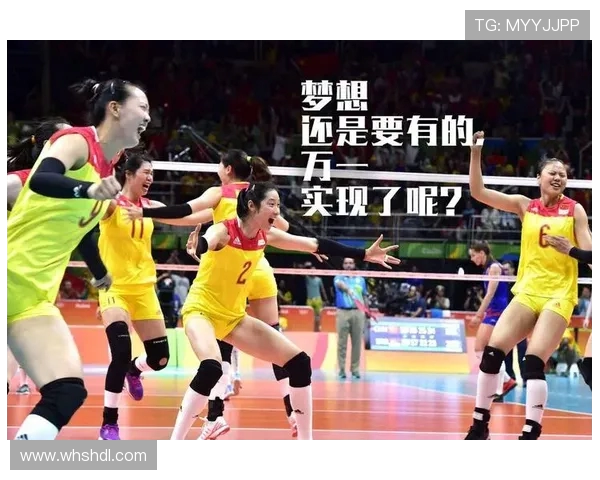 广州排球队的转型之路与未来发展趋势深度解析