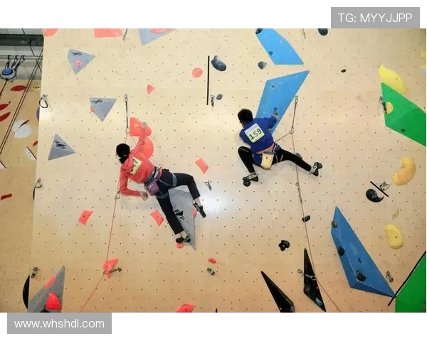 攀岩心理素质评比揭晓成都攀岩队荣获第三名成就辉煌