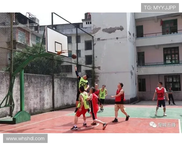 杭州羽毛球队比赛经验引发热议球迷与专家观点交锋探讨竞技水平提升之道