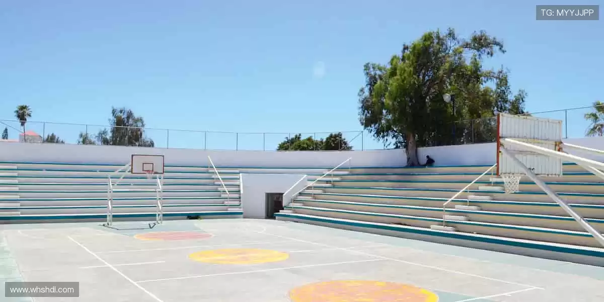 实时解说,让你不错过任何一个绝杀瞬间!🎙️🏃